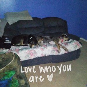 Meet your Posher, Kristian